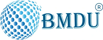 BM Digital Utilization logo