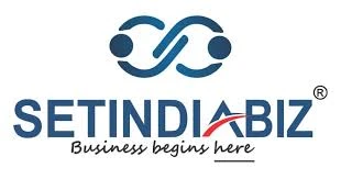 SETINDIABIZ logo