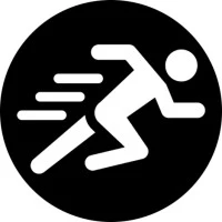 Codelancer Cyber Security and Forensics logo