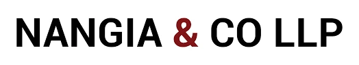 Nangia & Co LLP logo