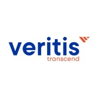 Veritis Group Inc logo