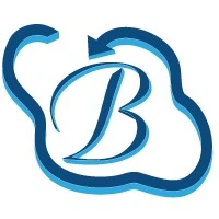 Bhavitra Technologies Private Limited logo