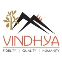 Vindhya E-Infomedia Pvt Ltd logo