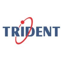 Trident Information Systems Pvt Ltd logo