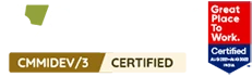 AAPNA Infotech logo